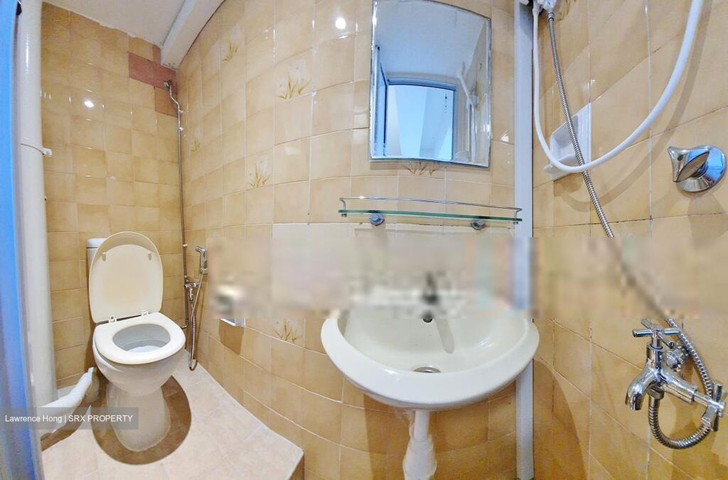 Dunearn Road (D11), Apartment #554139561